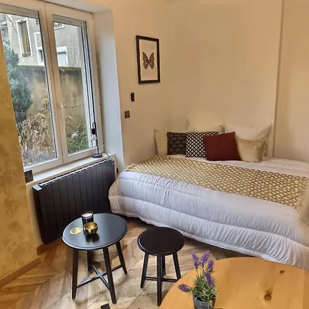 Le Mangin - Avec Terrasse Appartement *