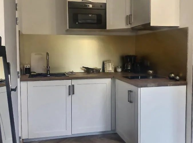 Appartement Le Mangin - Avec Terrasse